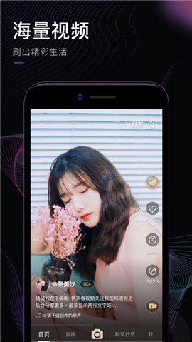 龙物在线视频看不了,揭秘原因及解决方案